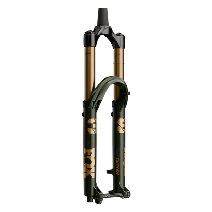 38 Factory Limited Edition